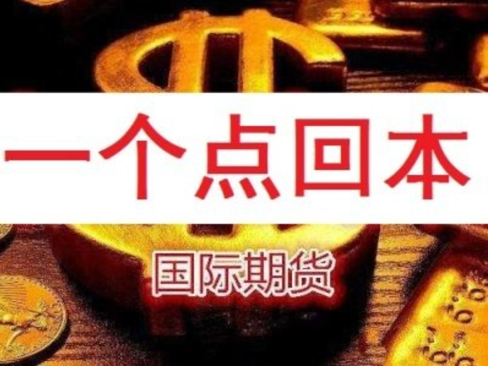 个人炒股和公司炒股的区别:不同投资者的策略和目标